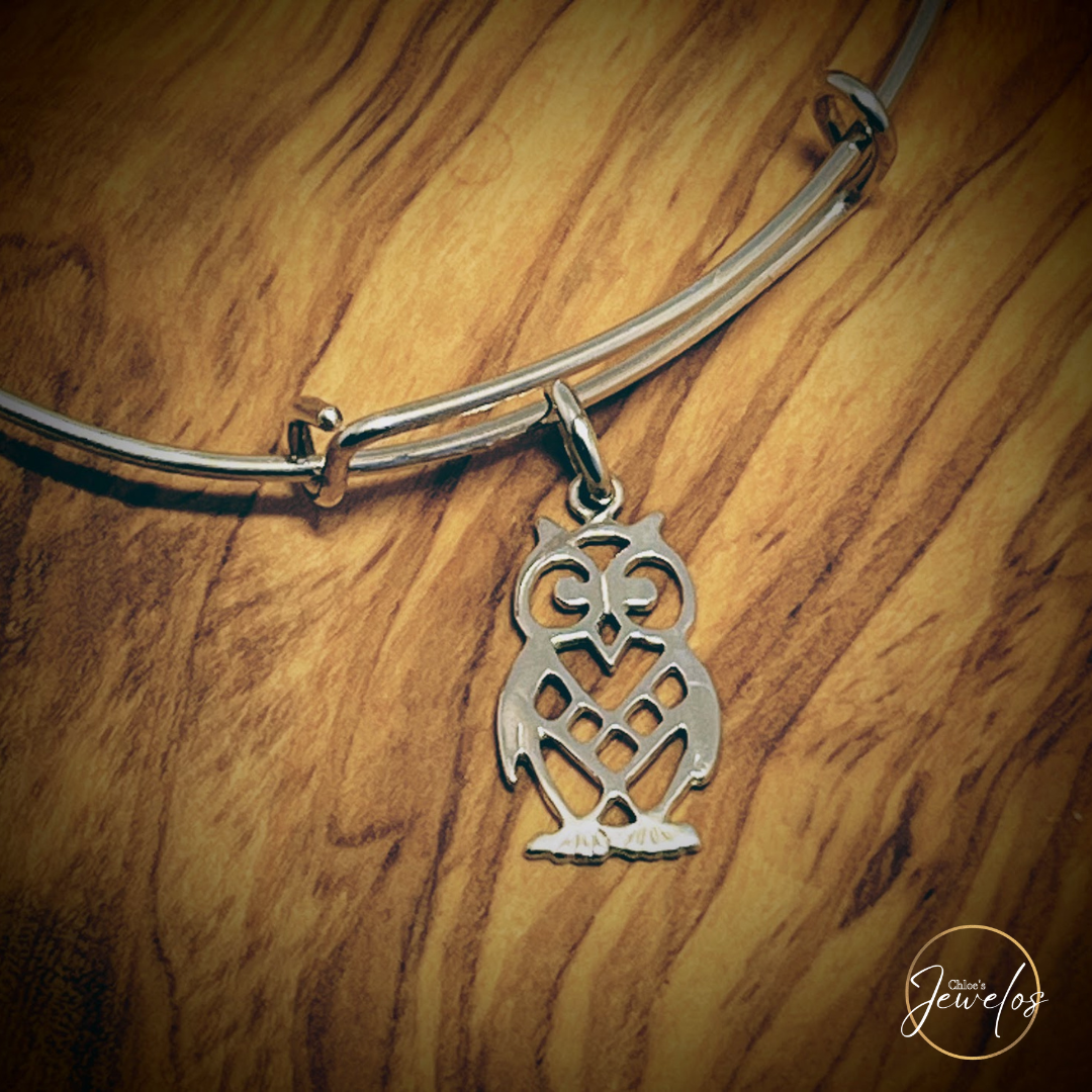 Mr. Owl Sterling Bangle